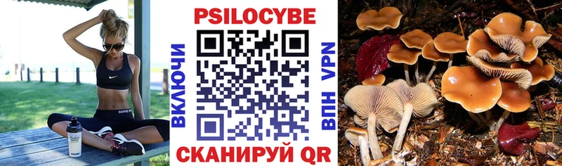 KRAKEN рабочий сайт  Нижнеудинск  Галлюциногенные грибы мухоморы 